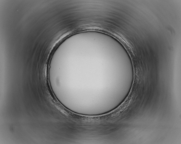 X0000112110790200908041150