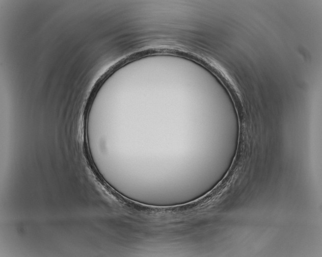 X0000112110791200908041150