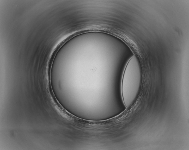 X0000112110792200908041150