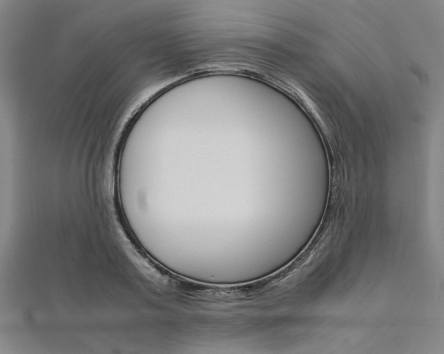X0000112110795200908041150