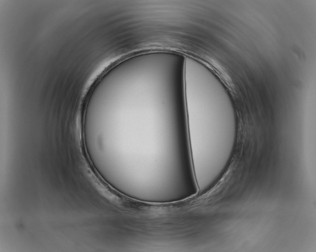 X0000112110796200908041150