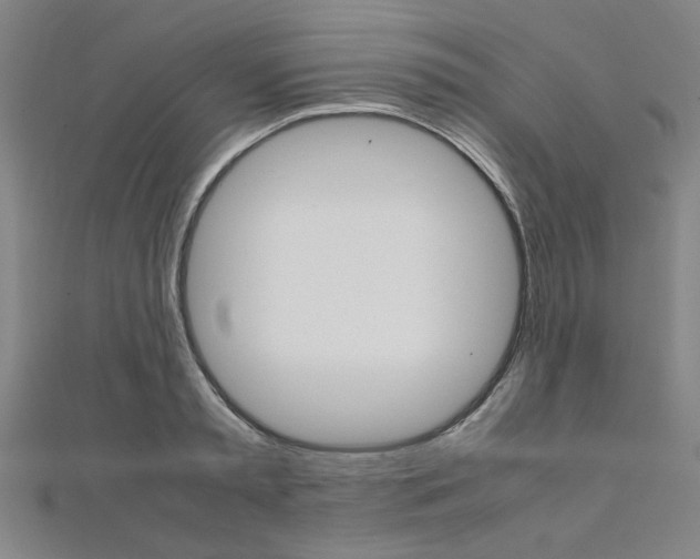 X0000112110797200908041150