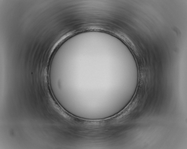 X0000112110798200908041150