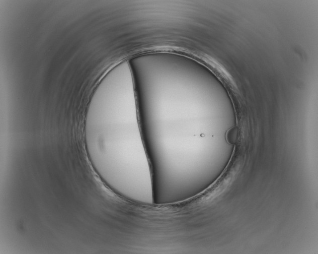 X0000112110801200908041150