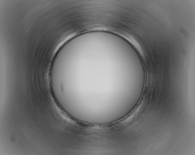 X0000112110806200908041150