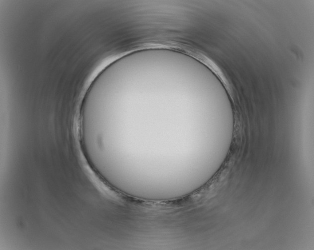 X0000112110811200908041150