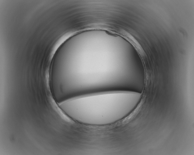 X0000112110812200908041150