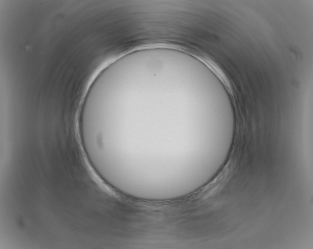 X0000112110813200908041150