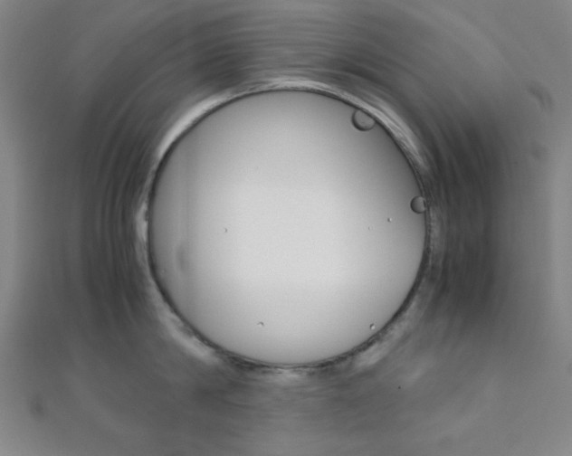 X0000112110814200908041150