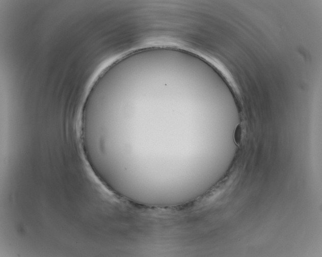X0000112110815200908041150