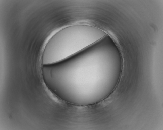 X0000112110816200908041150