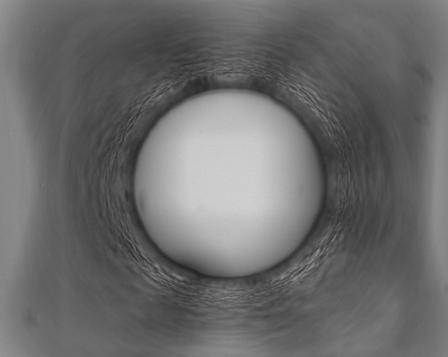X0000112110817200908041149