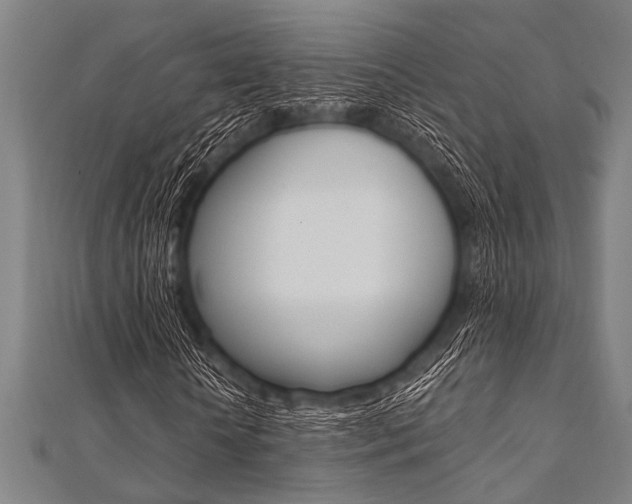 X0000112110818200908041149