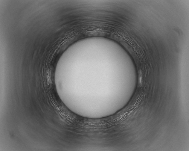 X0000112110819200908041149