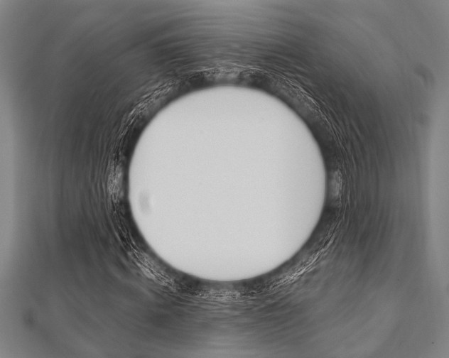 X0000112110820200908041149