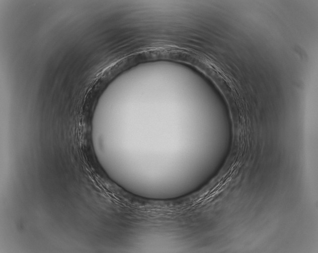 X0000112110822200908041149