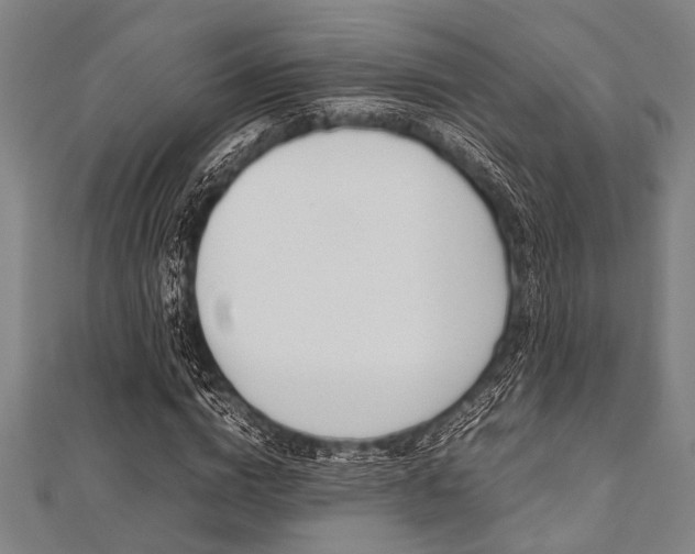 X0000112110824200908041149