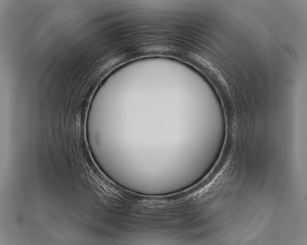 X0000112110825200908041149