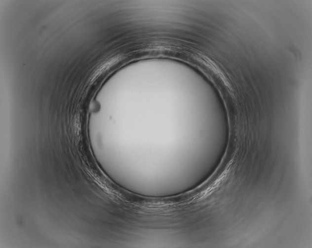 X0000112110826200908041149