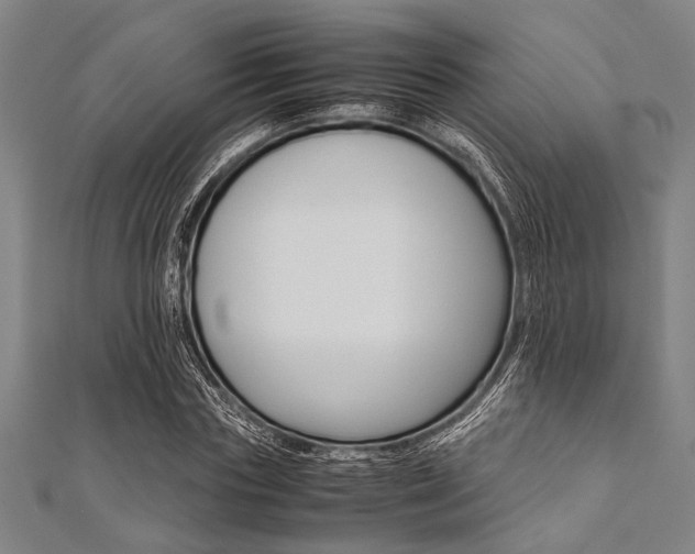 X0000112110827200908041149