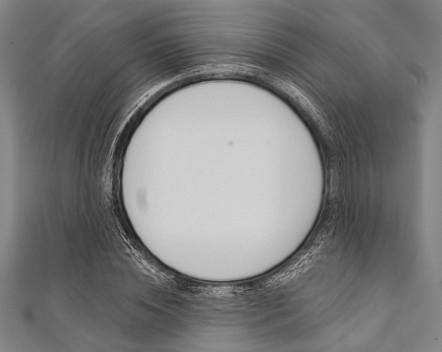 X0000112110828200908041149