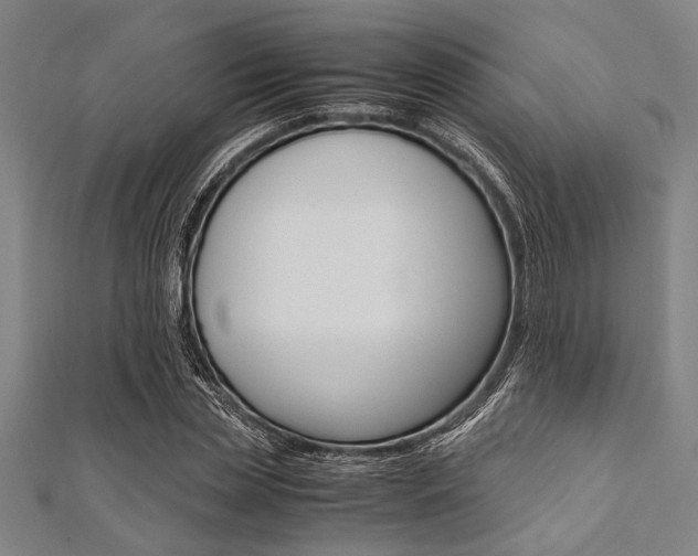 X0000112110829200908041149