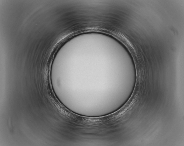 X0000112110831200908041150