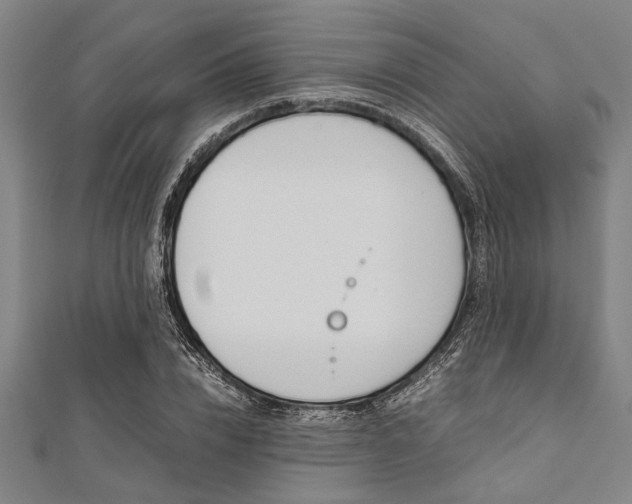 X0000112110832200908041150