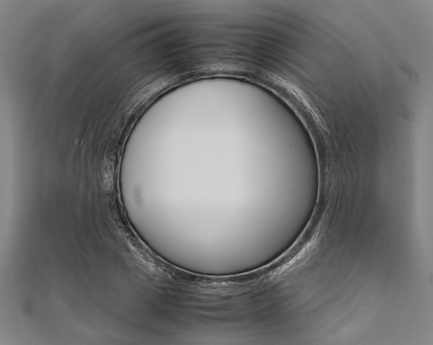 X0000112110833200908041150