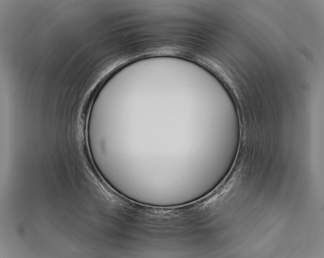 X0000112110835200908041150