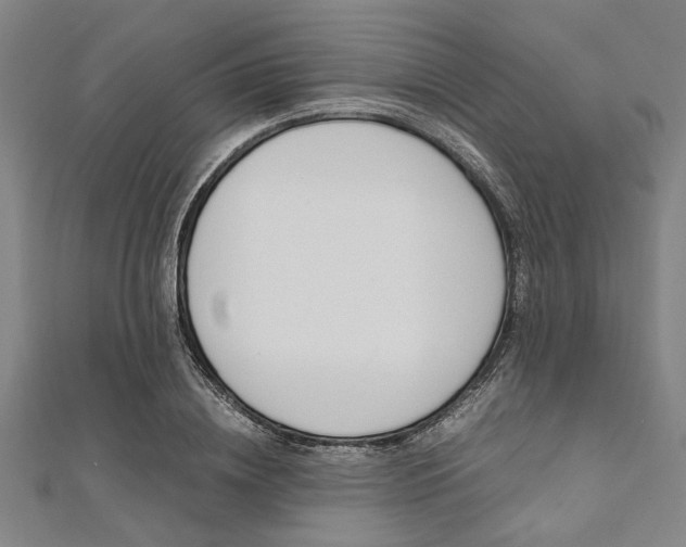 X0000112110836200908041150