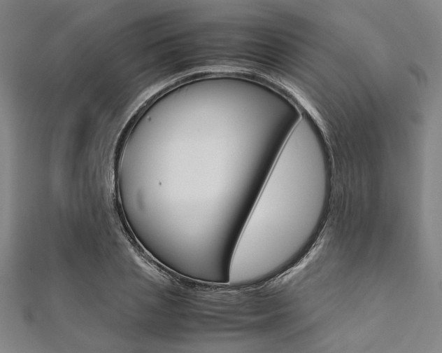 X0000112110837200908041150
