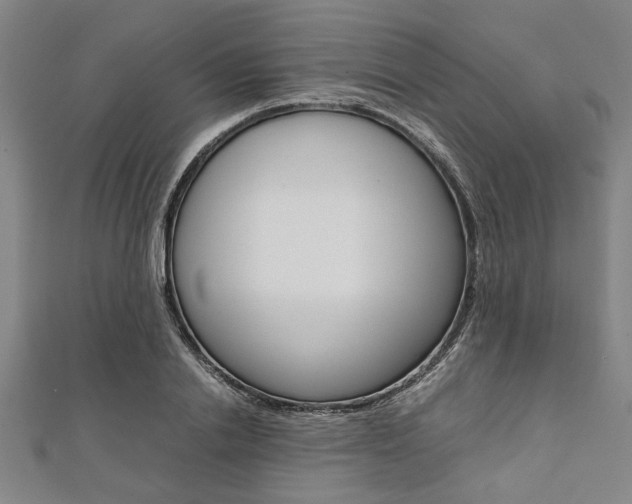 X0000112110838200908041150