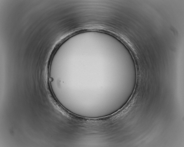 X0000112110840200908041150