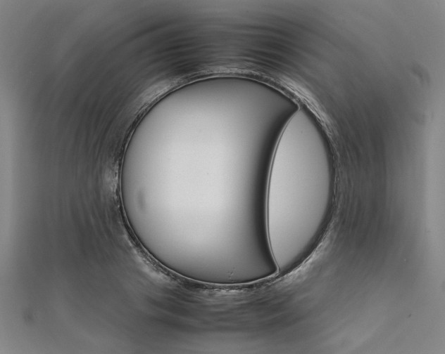 X0000112110841200908041150