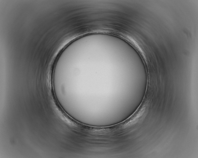 X0000112110843200908041150