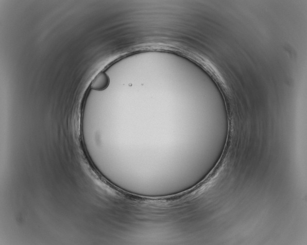X0000112110844200908041150