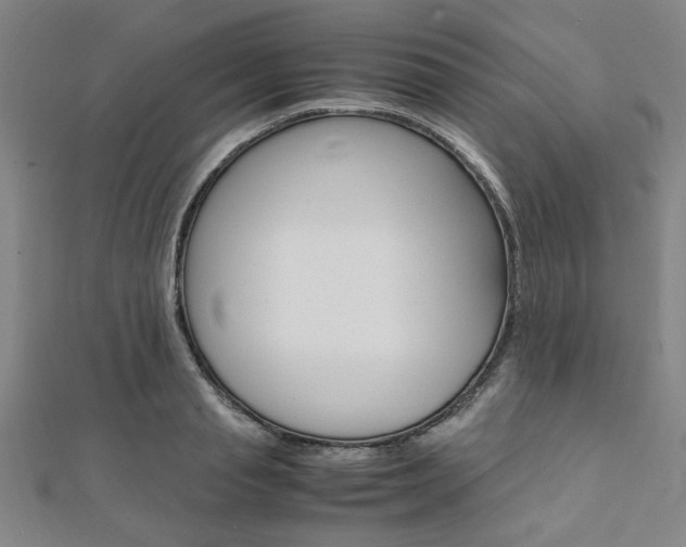 X0000112110845200908041150