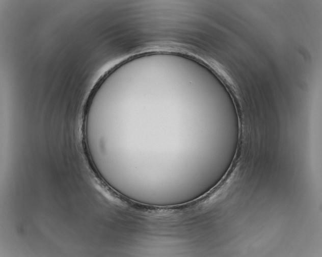 X0000112110846200908041150