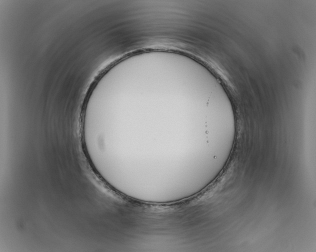 X0000112110848200908041150