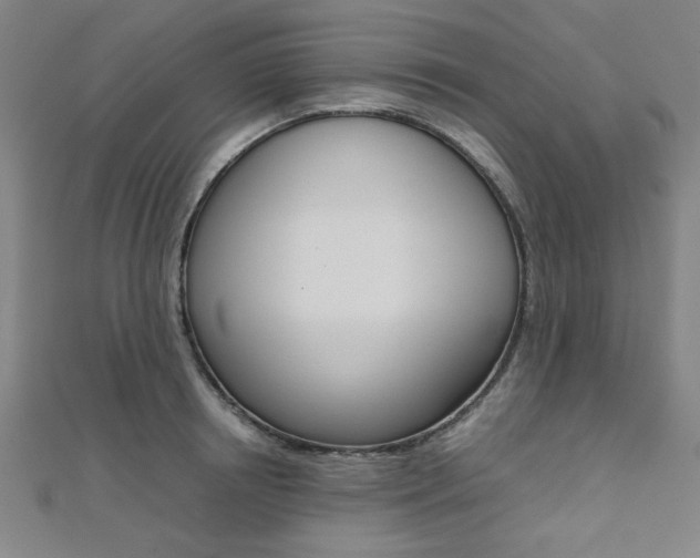 X0000112110850200908041150