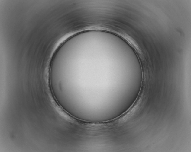 X0000112110854200908041150