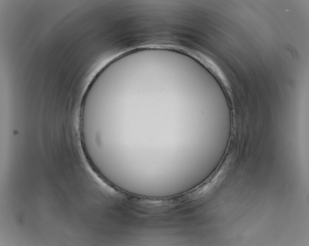 X0000112110855200908041150