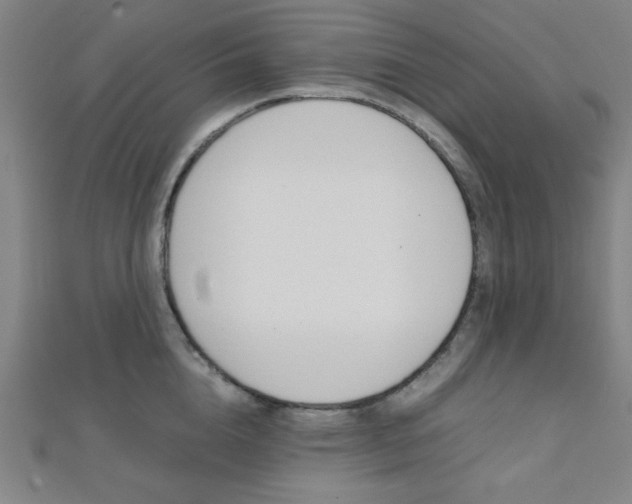 X0000112110856200908041150