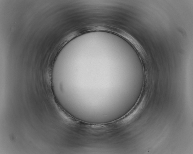 X0000112110857200908041150