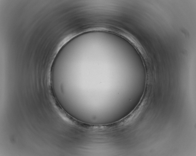 X0000112110858200908041150