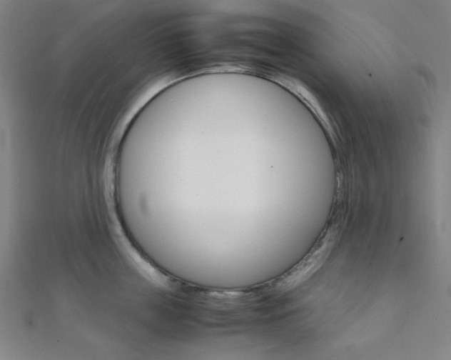 X0000112110859200908041150