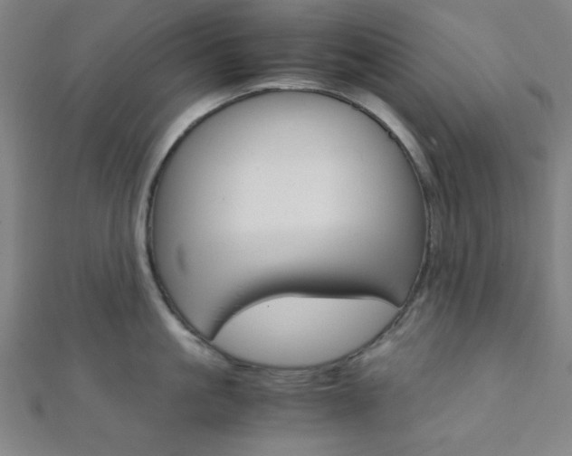 X0000112110861200908041150