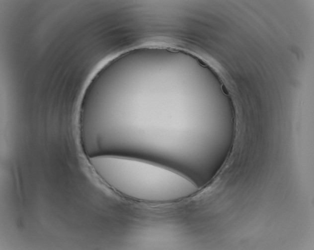 X0000112110864200908041150