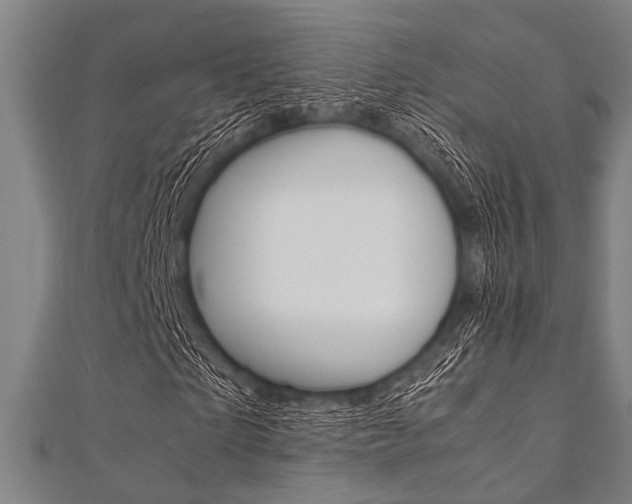 X0000112110865200908041149